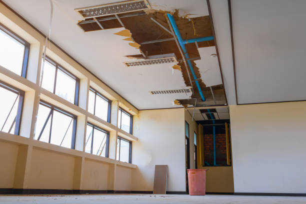 Best Basement water damage restoration  in Douglas, WY