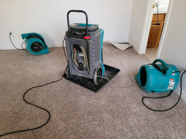 Professional Water damage restoration in WY