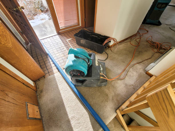 Best Professional water damage repair  in Douglas, WY