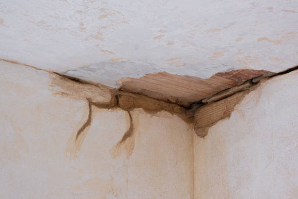 Best Water damage restoration near me  in Douglas, WY