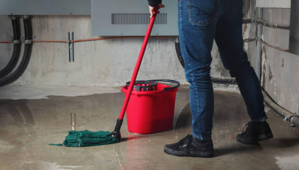 Best Commercial water damage restoration  in Douglas, WY