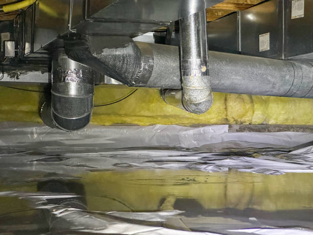 Best Fire Damage Restoration  in Douglas, WY
