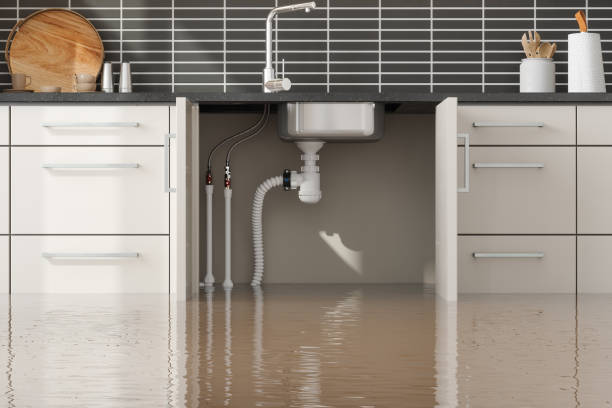Best Flooded house restoration  in Douglas, WY
