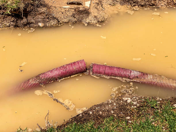 Best Emergency water damage restoration  in Douglas, WY
