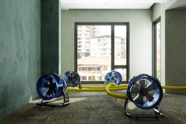 Best Carpet water damage restoration  in Douglas, WY